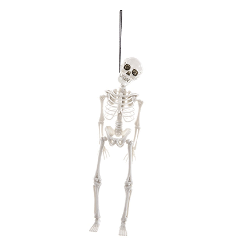 Halloween - Foldable Glow in the Dark Skeleton