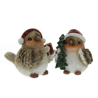 Robins in Hats or EarMuffs