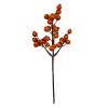 Pick - Autumn Berry