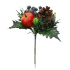 Pick - Blueberry Fruit