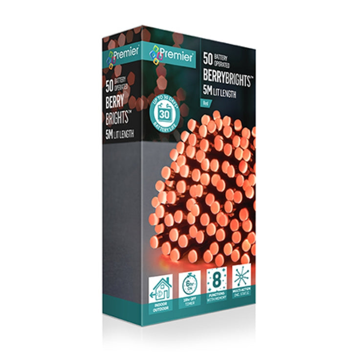 Lights - Berry Lights - Battery Operated