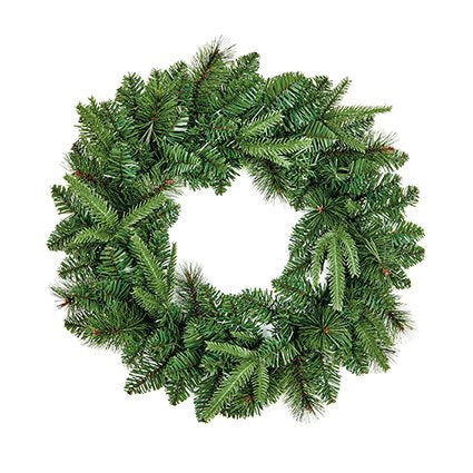 Wreath - Norfolk Pine 50cm
