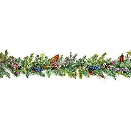 Garland - Eucalyptus, Thistle & BlackBerry 1.8M