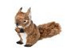 Autumn - Squirrels
