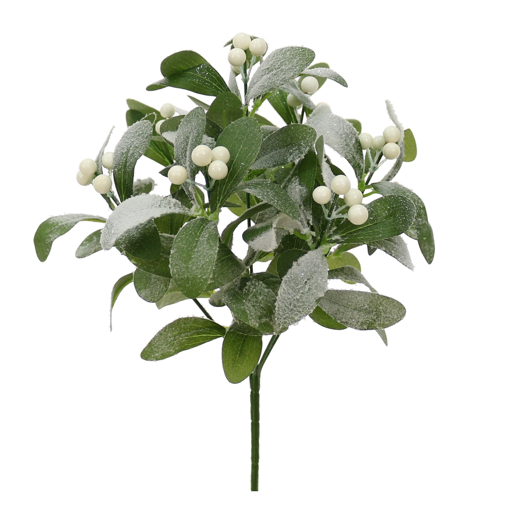 Mistletoe Express Pick - Frosted Mistletoe Pick – Rainfords Farm Ltd