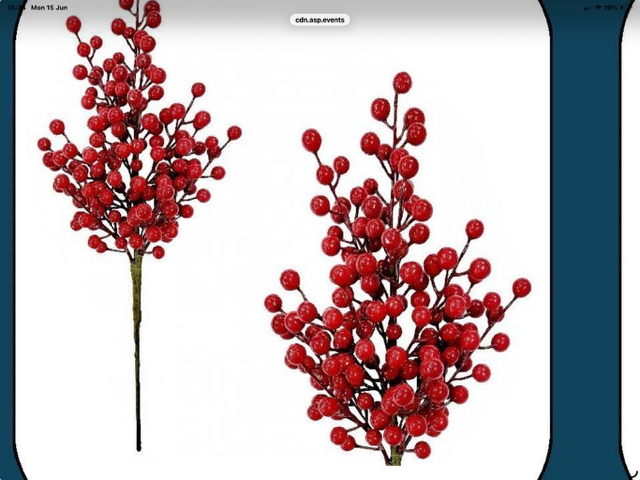 Spray - Red Berry